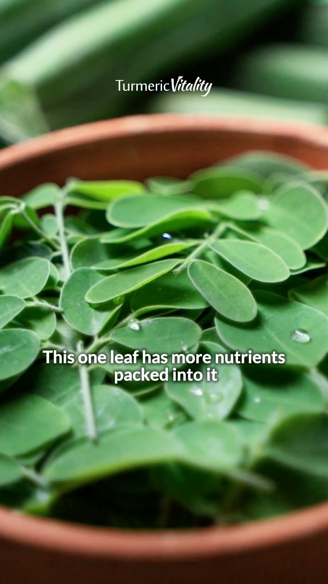 More Nutrients Than Your Multivitamin
