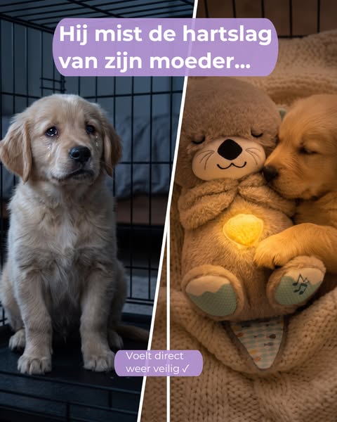Voelt direct weer veilig