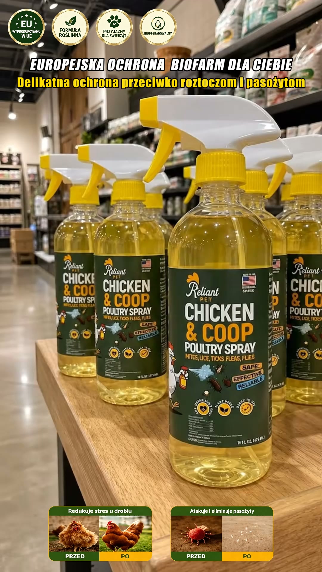 CHROŃ SWOJE KURKI PRZED PTASZYŃCEM I ROZTOCZAMI! BEZPIECZNA DEZYNFEKCJA KURNIKA!