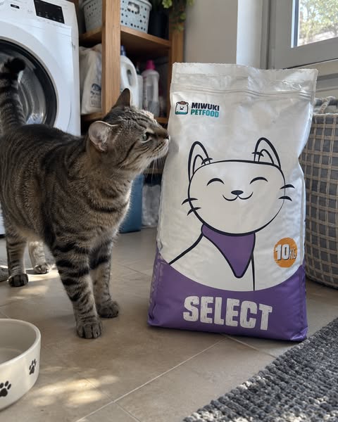 Select: calidad en cada ingrediente