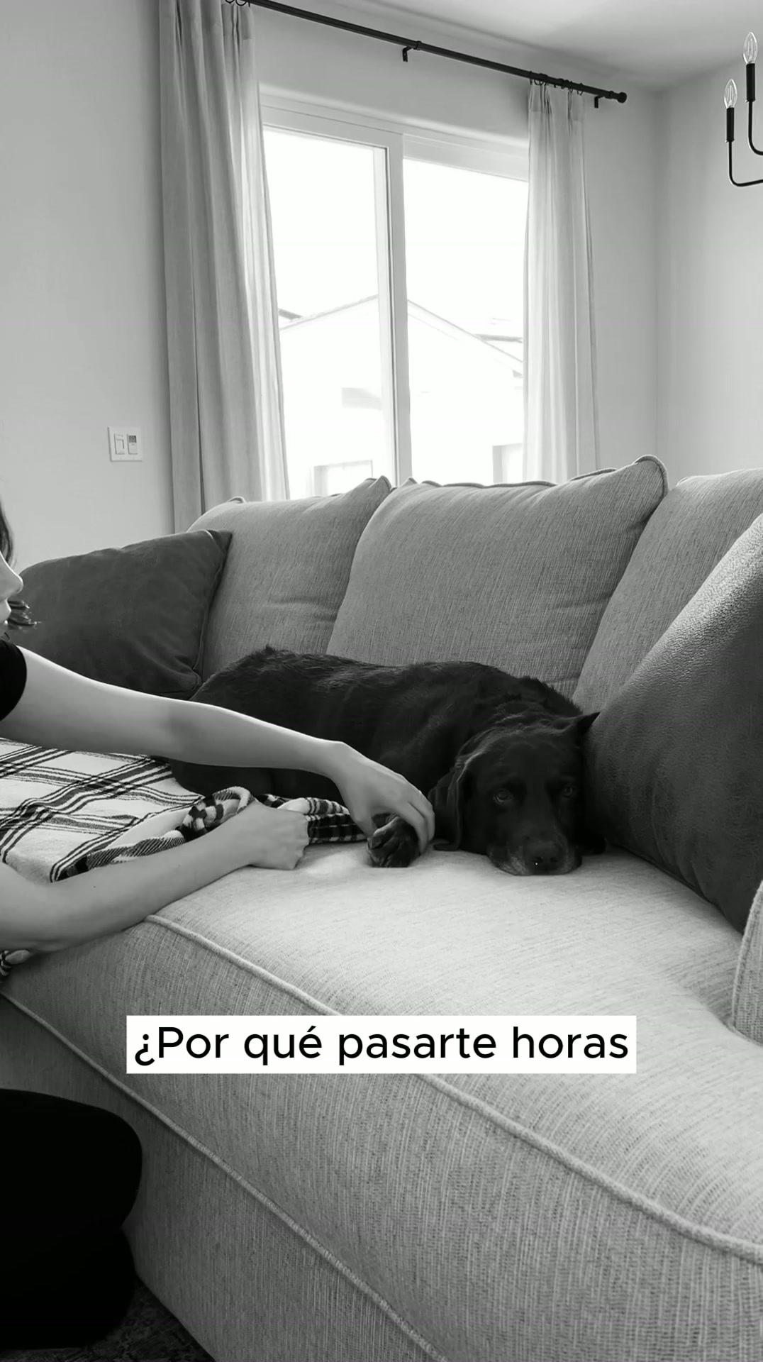 Hasta un 50% Dto