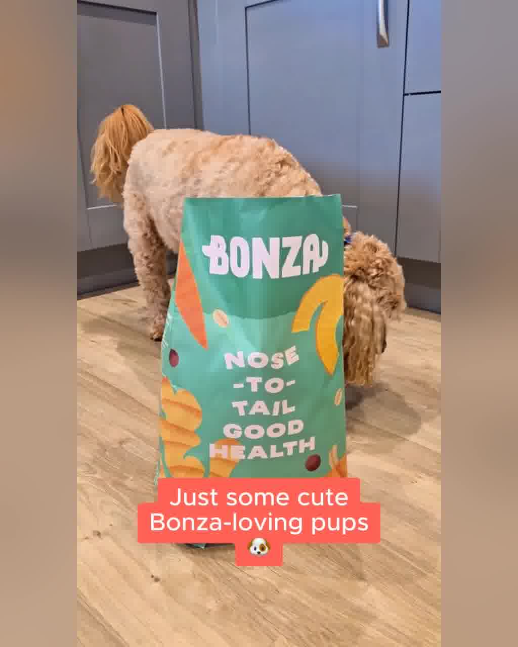 Bonza Dog Foods