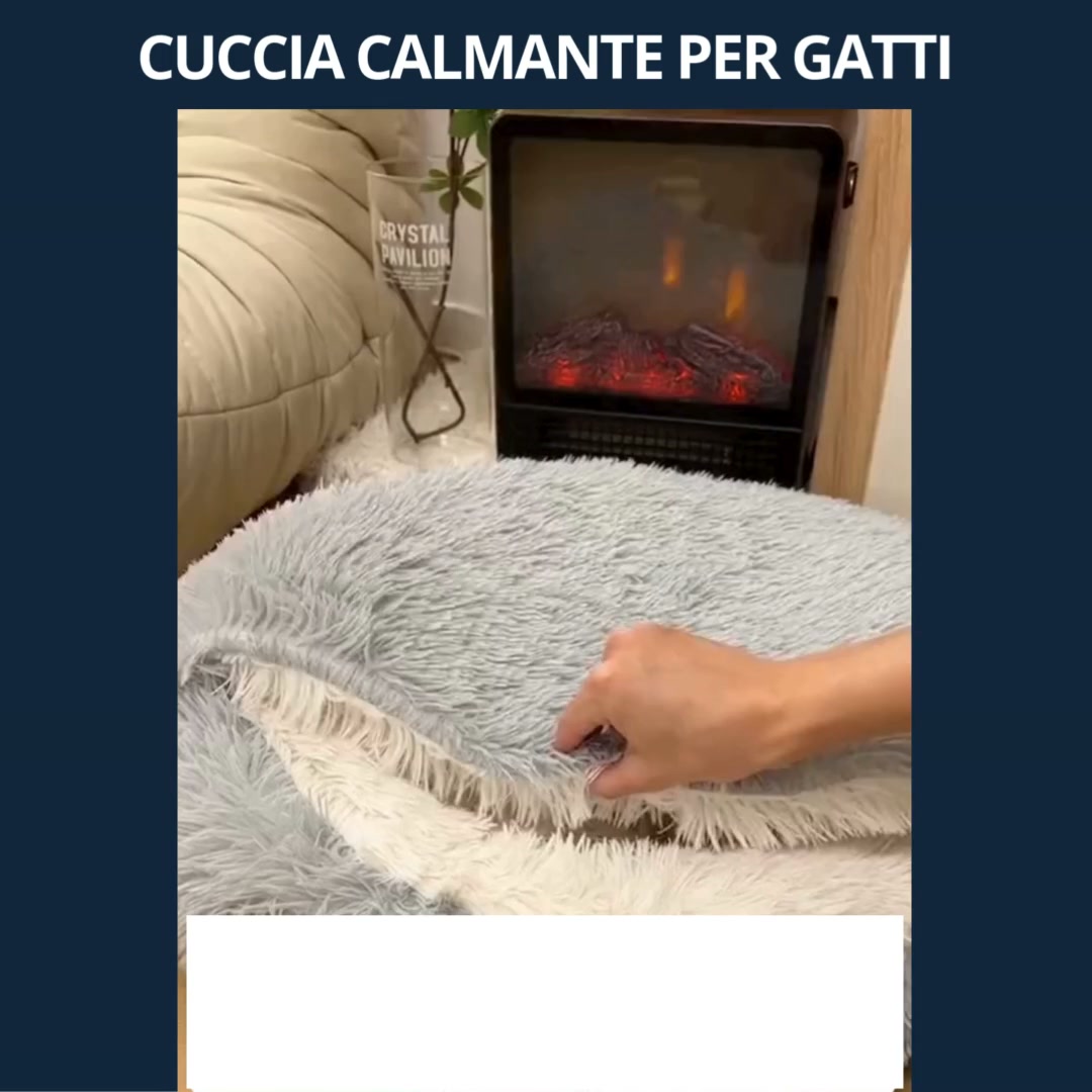 SPEDIZIONE GRATUITA - PAGAMENTO ALLA CONSEGNA