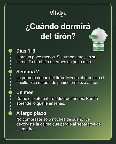 Hasta −54 % + difusor GRATIS