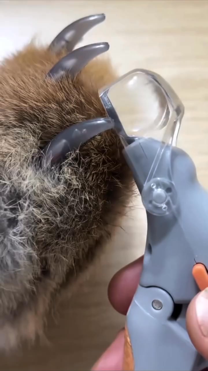 Anúncio de Panther-Products
