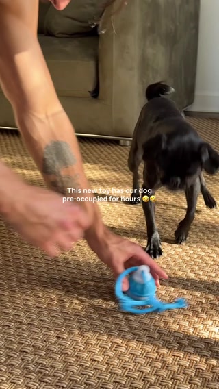 Our pug paced the apartment every evening. A vet tech told us why in 90 seconds