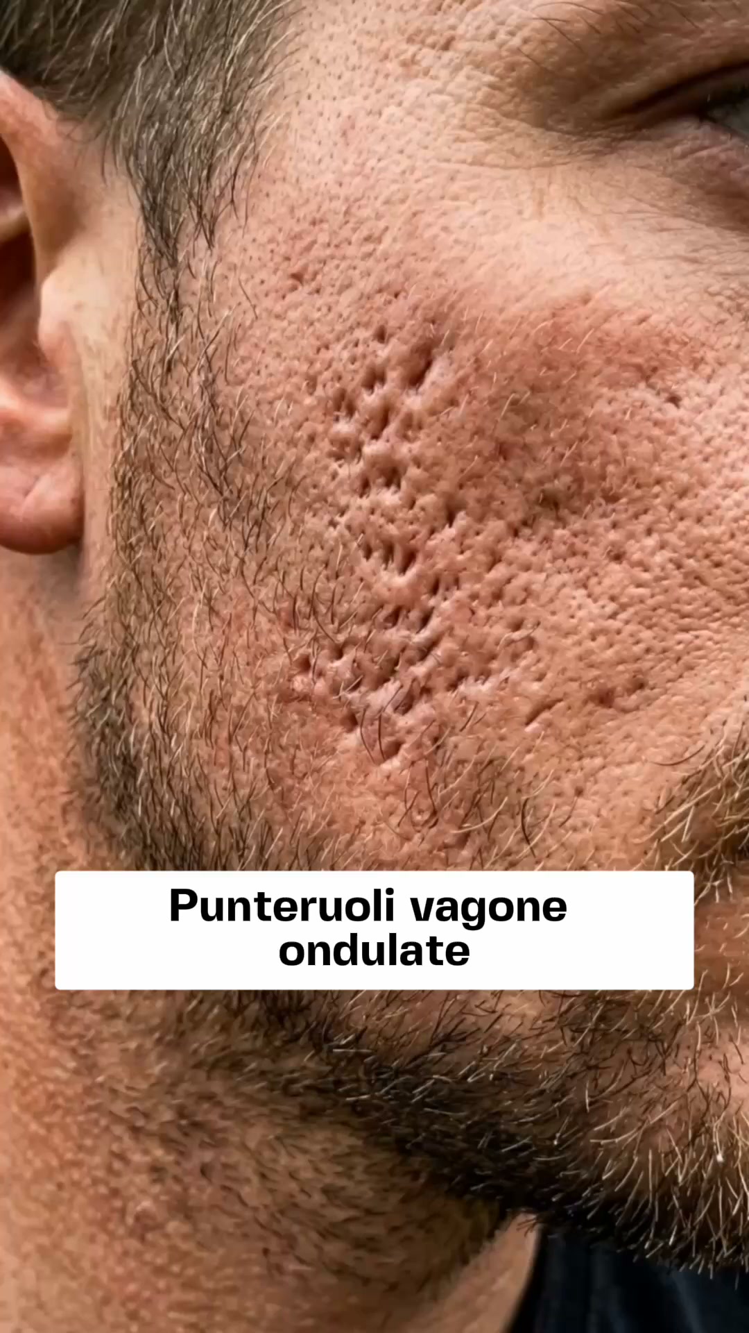 Valutato 5 stelle