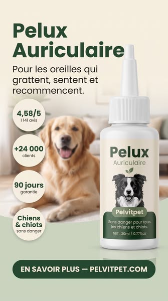 Pelux Auriculaire — Pelvitpet