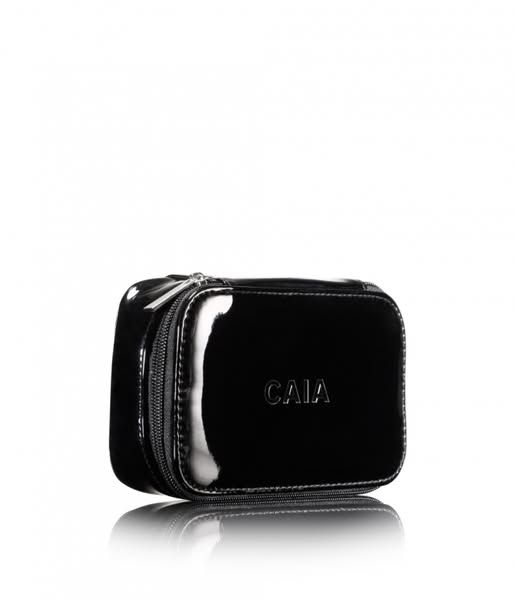 Black Small Organizer