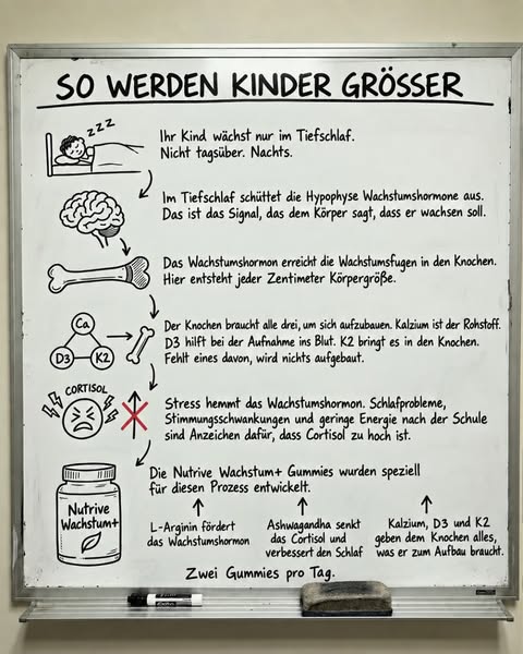 1 kaufen, 1 GRATIS erhalten!