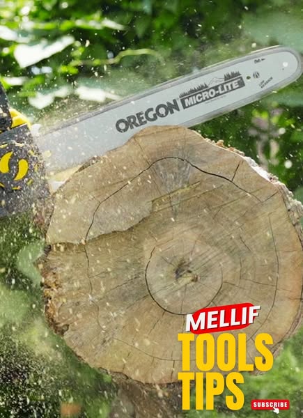 Cordless Power Tools for Every Task