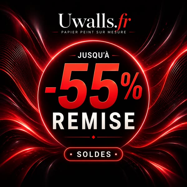 ‼ Papiers Peints -55 % DE RÉDUCTION ‼