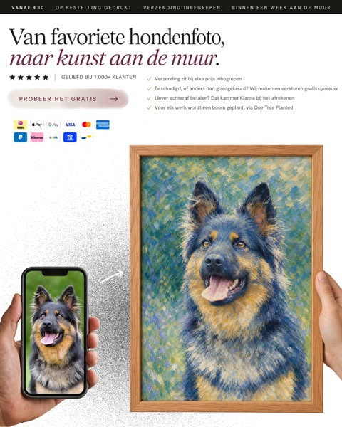 Van hondenfoto naar kunst