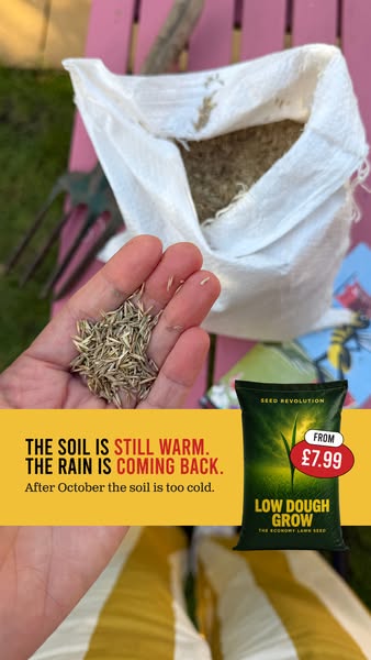 Find Your Perfect Lawn Mix
