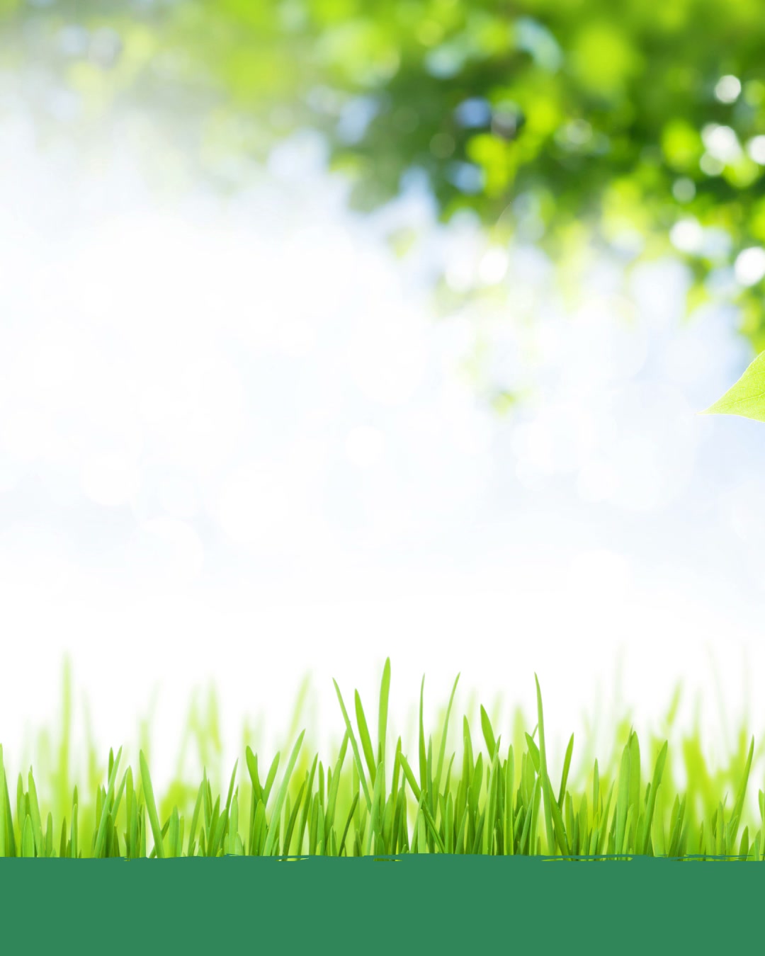 Nieuw: 100% natuurlijke gezichtsverzorging van Happy Earth