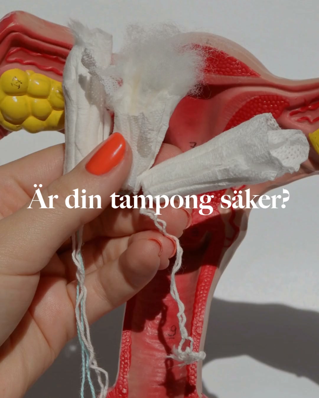 Tamponger i 100% bomull