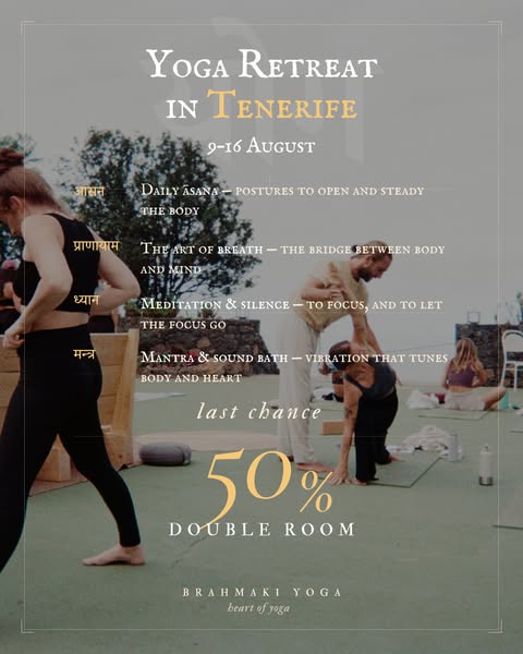 50% off last 2 double rooms