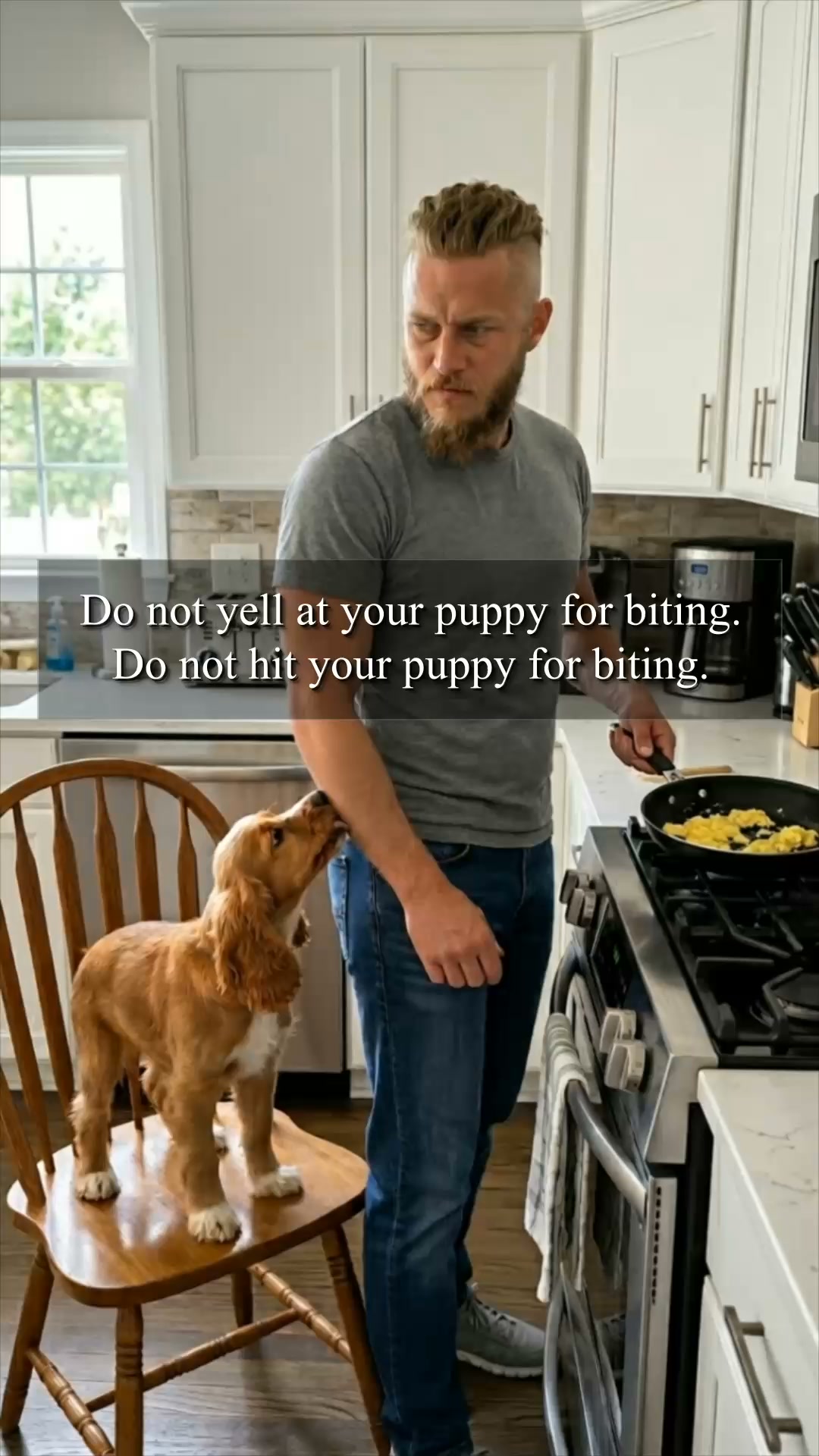 Start training your pup ▶