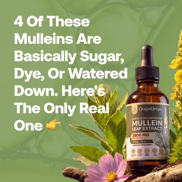 Every Mullein Ranked