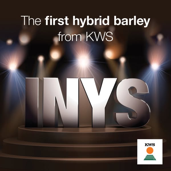 Inys