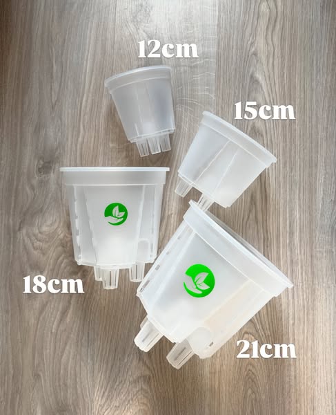 Noté 4,8/5 sur trustpilot ( 5000+)
