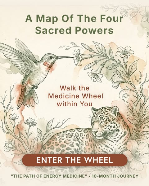Awaken the Shaman Within You