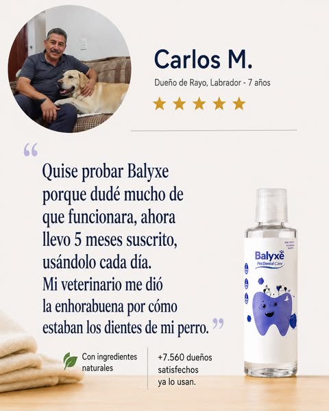 "Ya no reconozco su aliento" — Carlos, dueño de Rayo