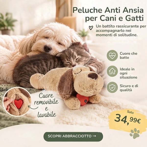 Spedizione Gratuita