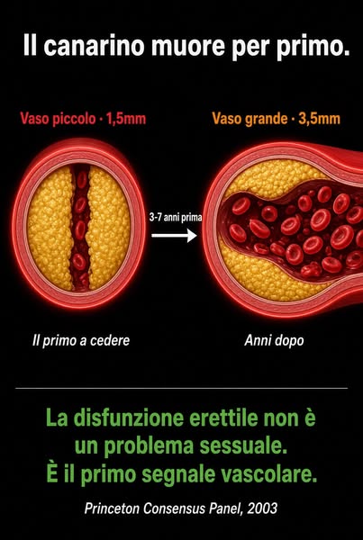 Il canarino muore per primo. La disfunzione erettile precede il problema cardiaco di 3-7 anni.