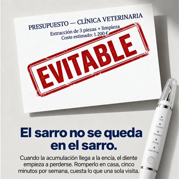 Limpieza dental en casa, sin anestesia