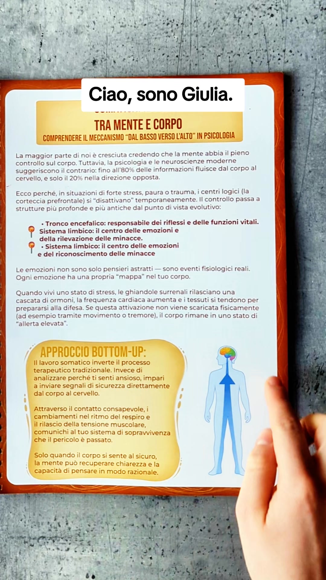 Workbook di Terapia Somatica