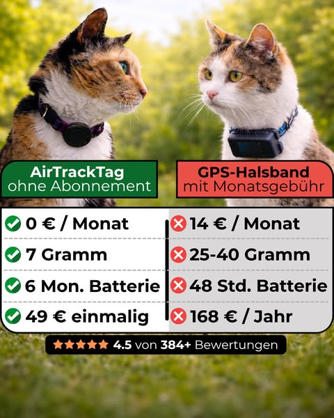 Tracke deine Katze – ohne Abo