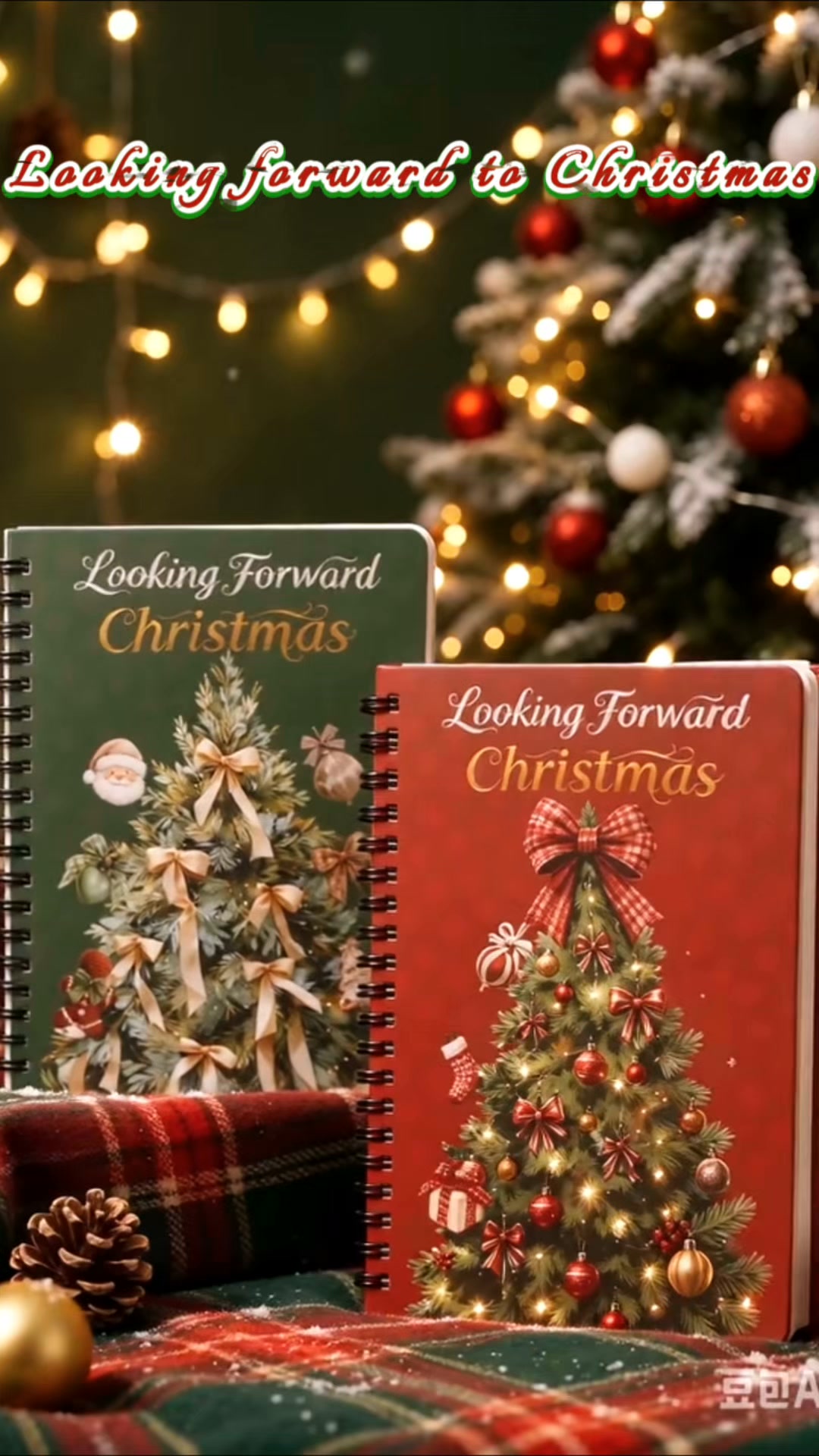 Looking Forward to Christmas Sticker Book