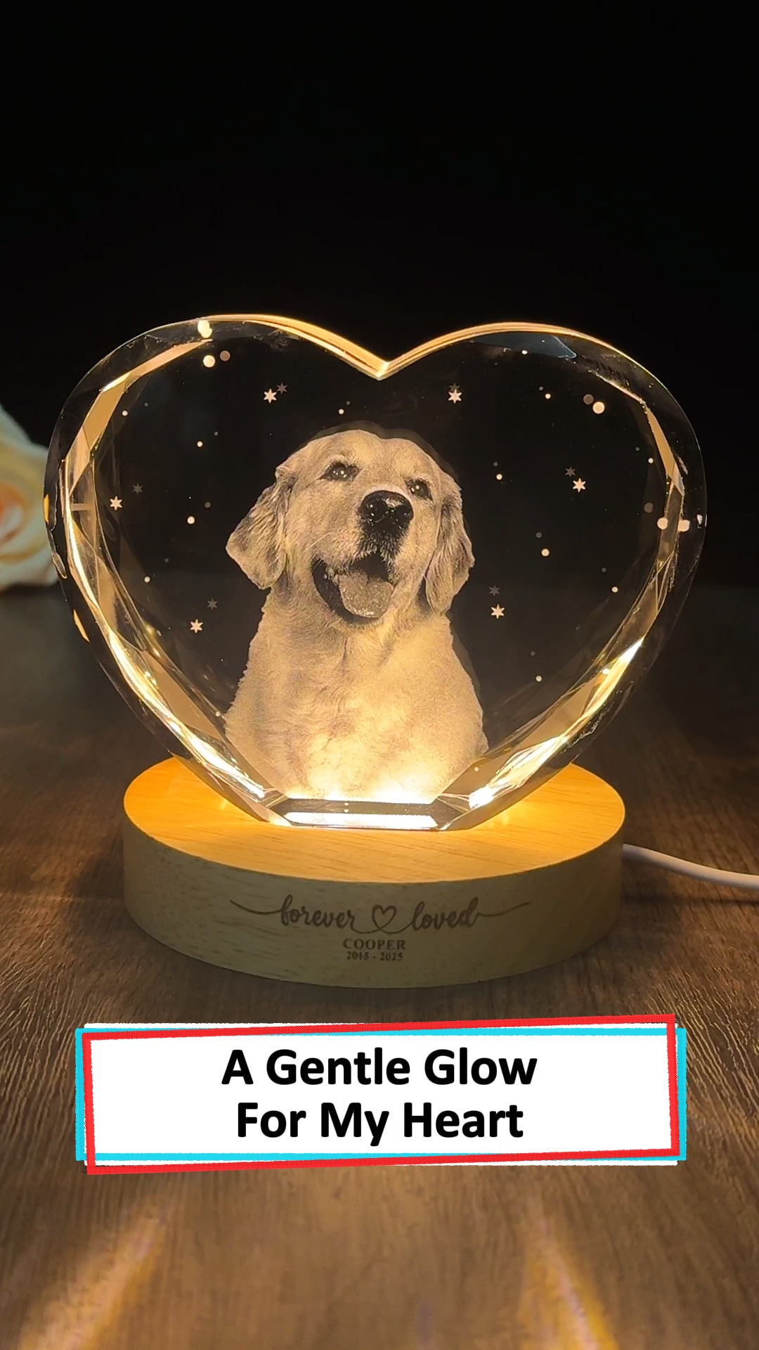 Tender Crystal Heart Lamp For Pet Lovers