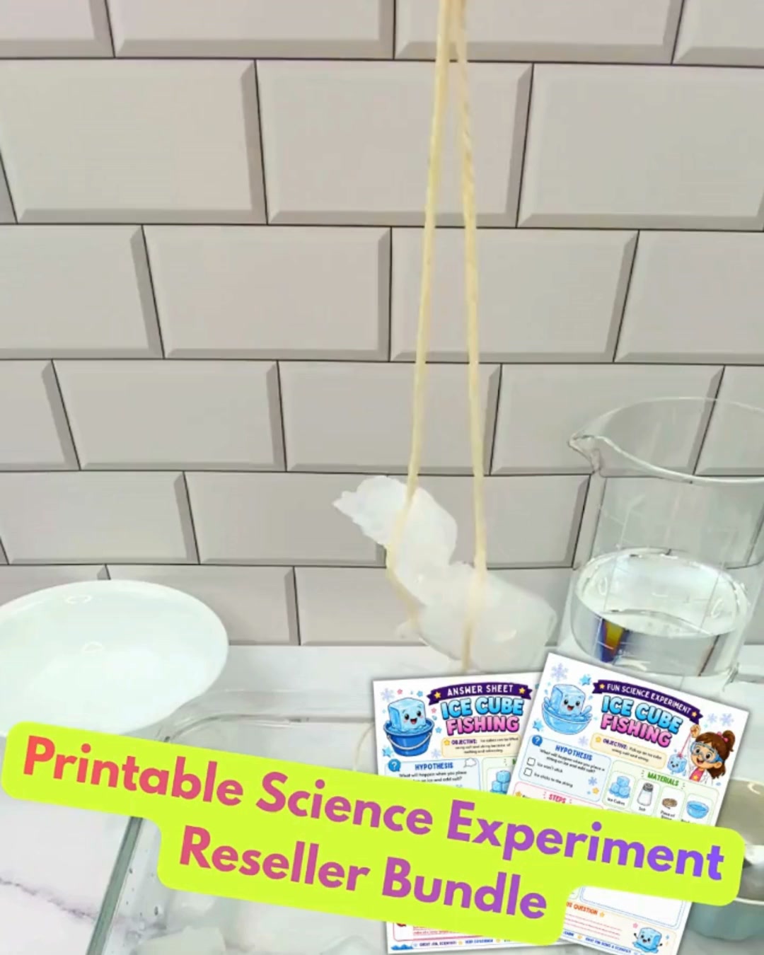 53 Science Printables Ready to Sell!