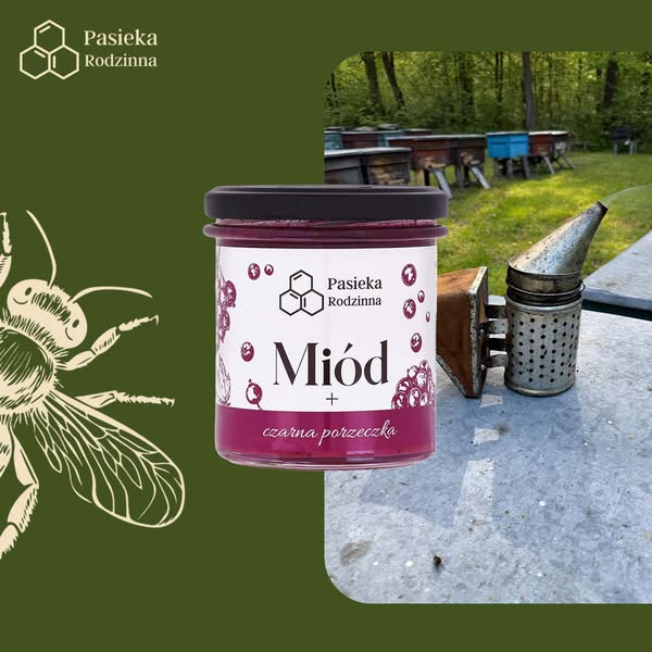 Miód z czarną porzeczką 410g