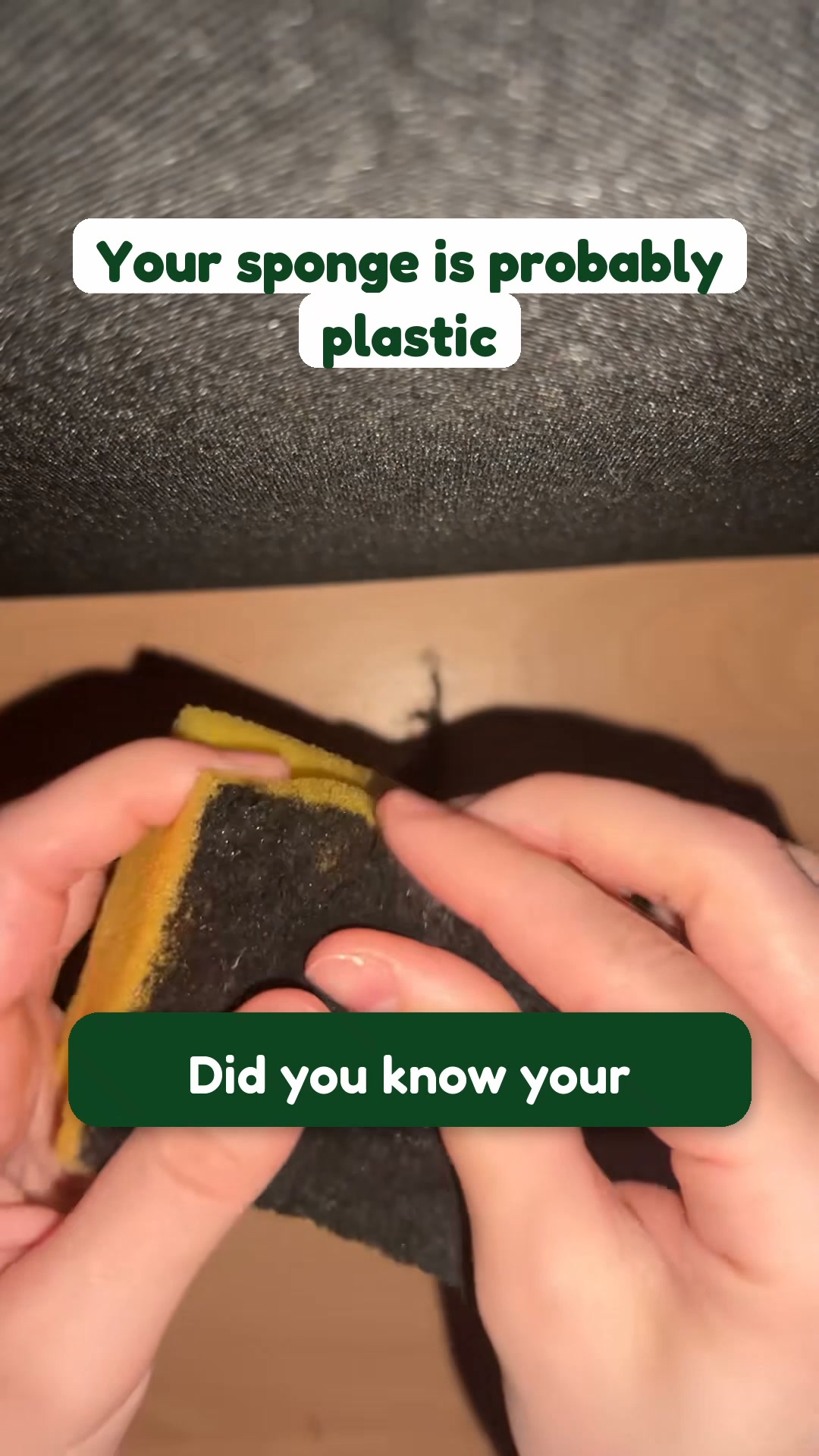 Your sponge is probably plastic