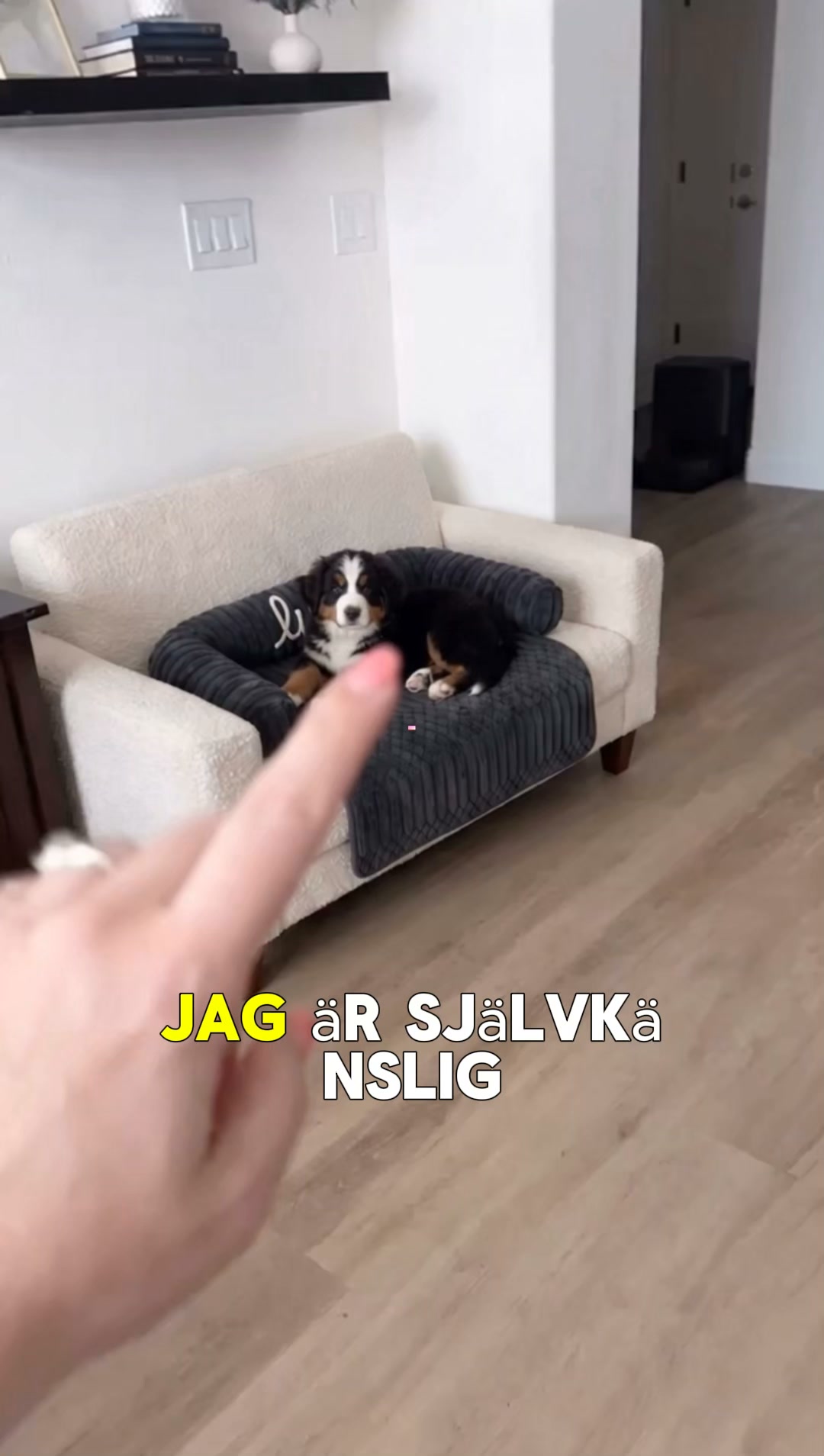#1 Hundsäng