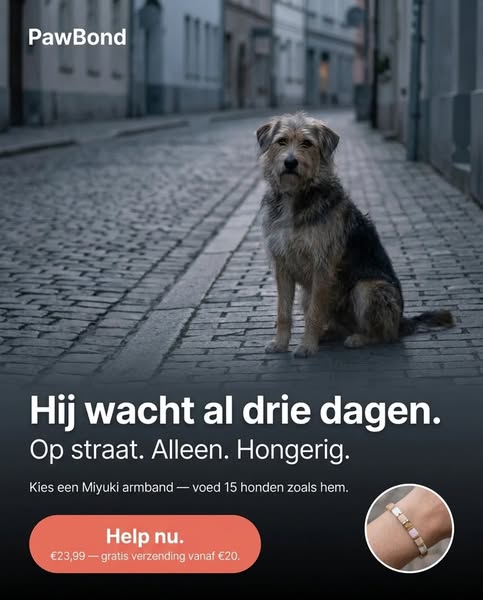 Elke armband voedt 15 honden.