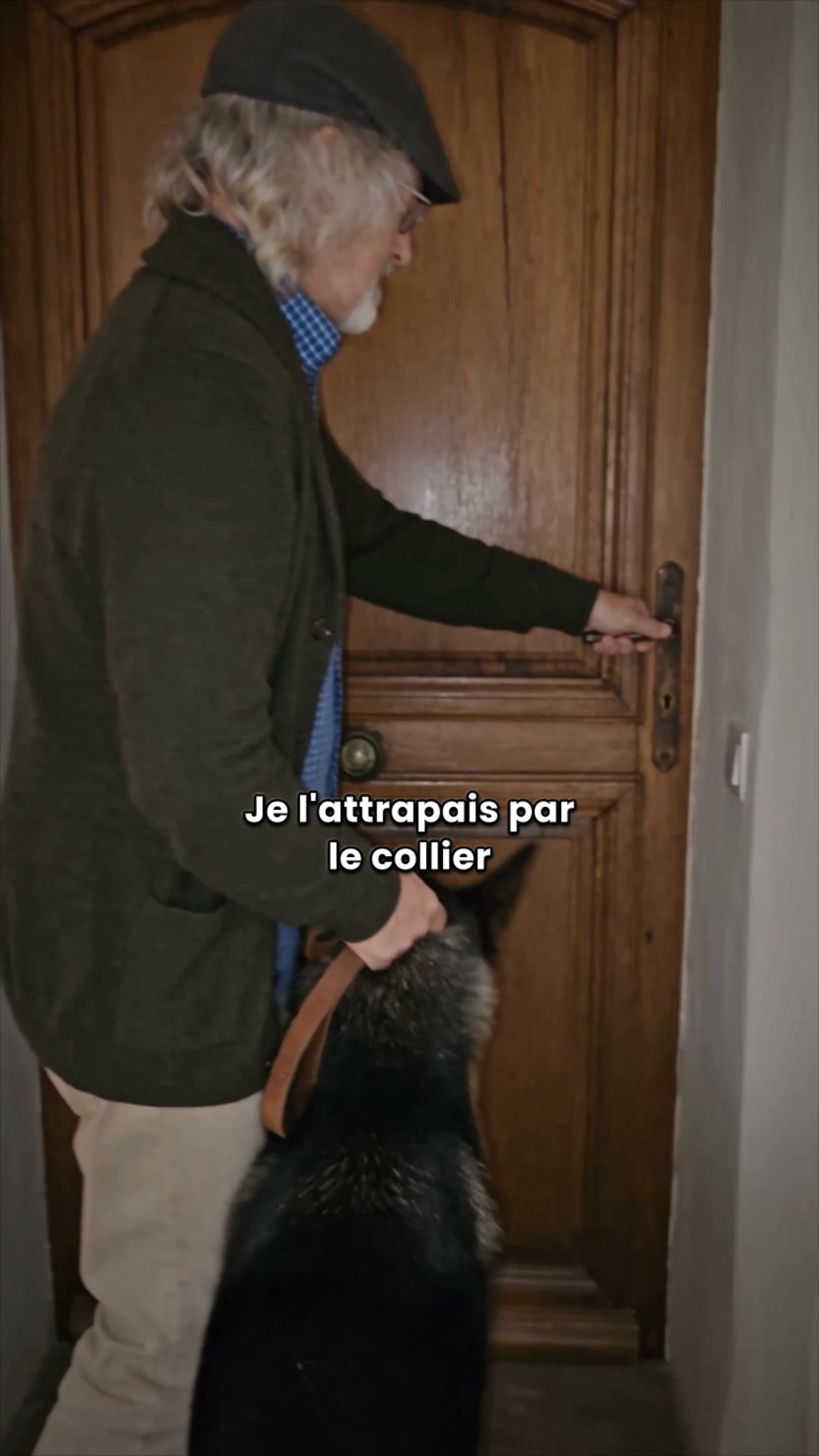 Commencez le Défi niveau chien d’assistance ▶