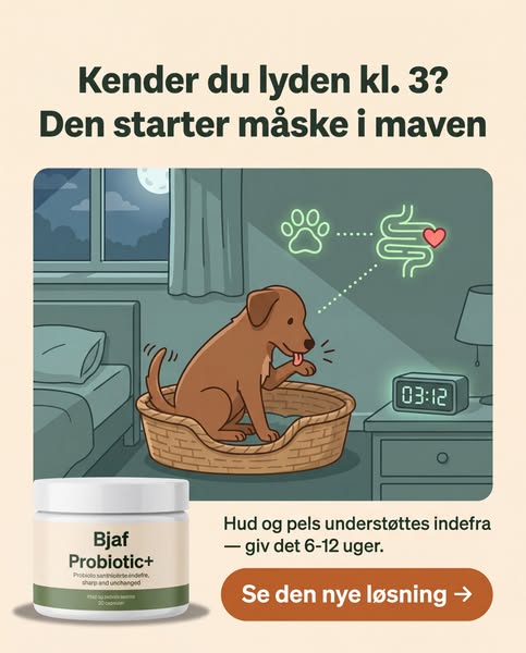 Tarm i balance - indefra