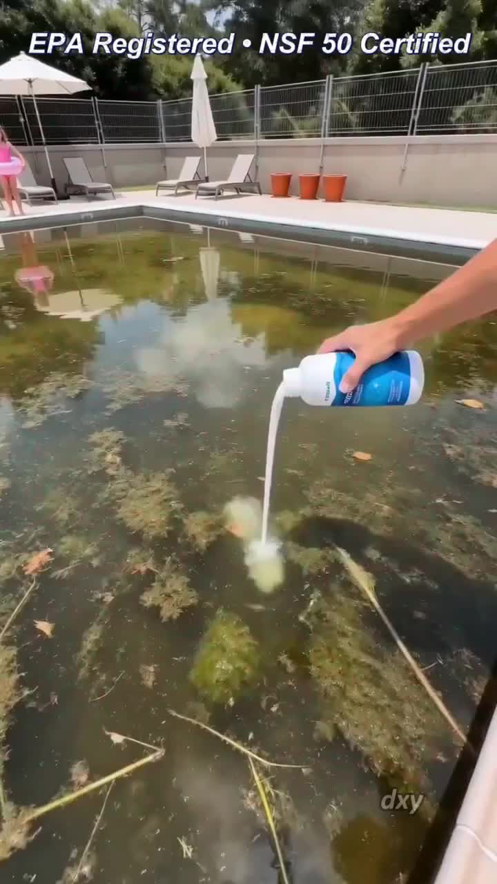 Pro Pool Water Purifier Liquid