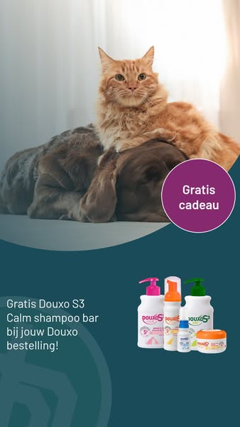 Shop nu bij de online Dierapotheker