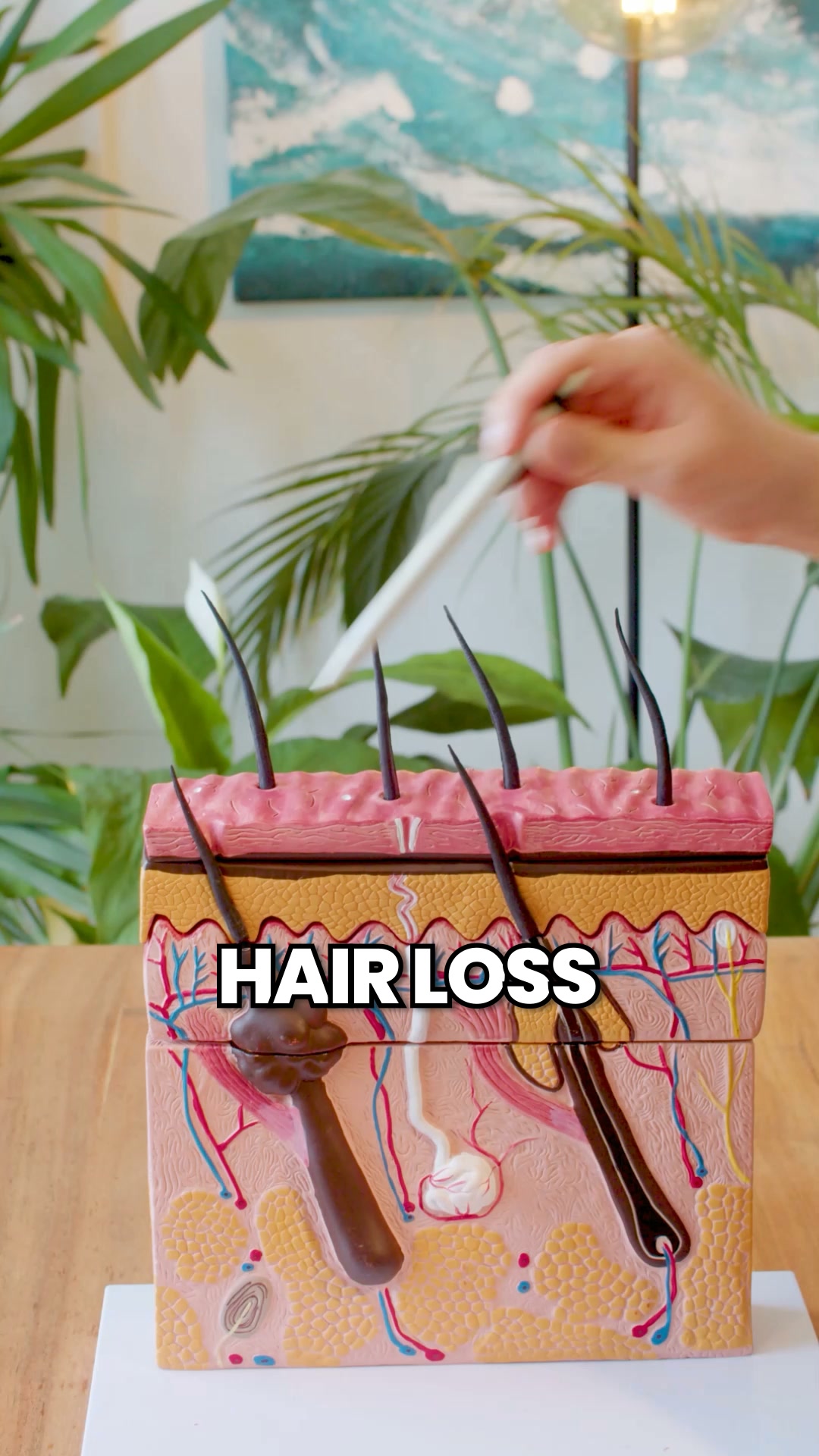 Up to 83% less hair loss