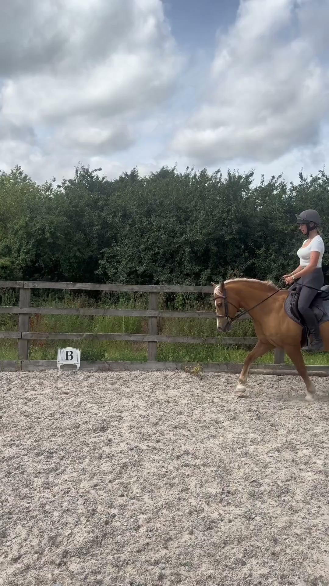 Save 20% on Motion Riding Leggings!