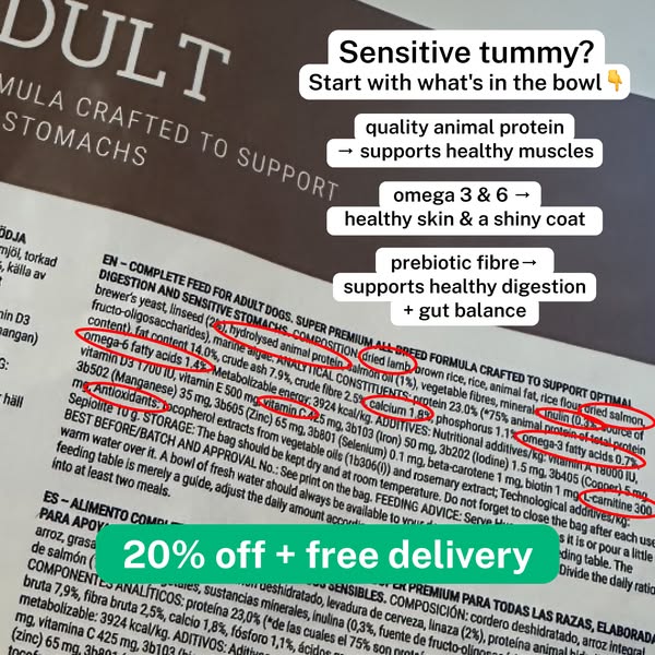 Get 20% off - use code HELLO20