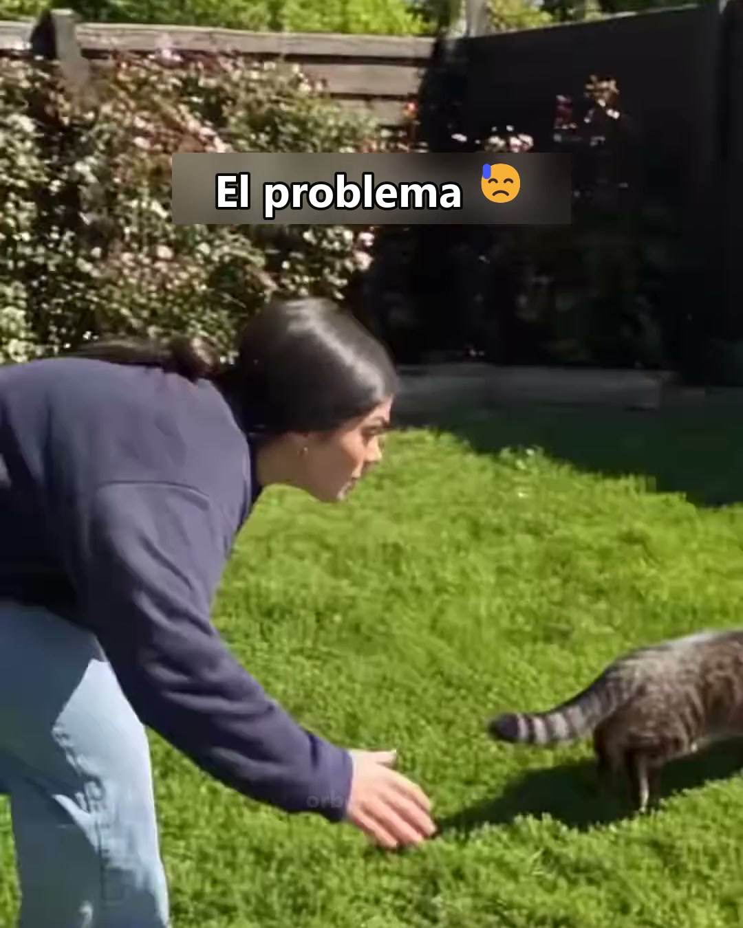 Se merece más que una ventana