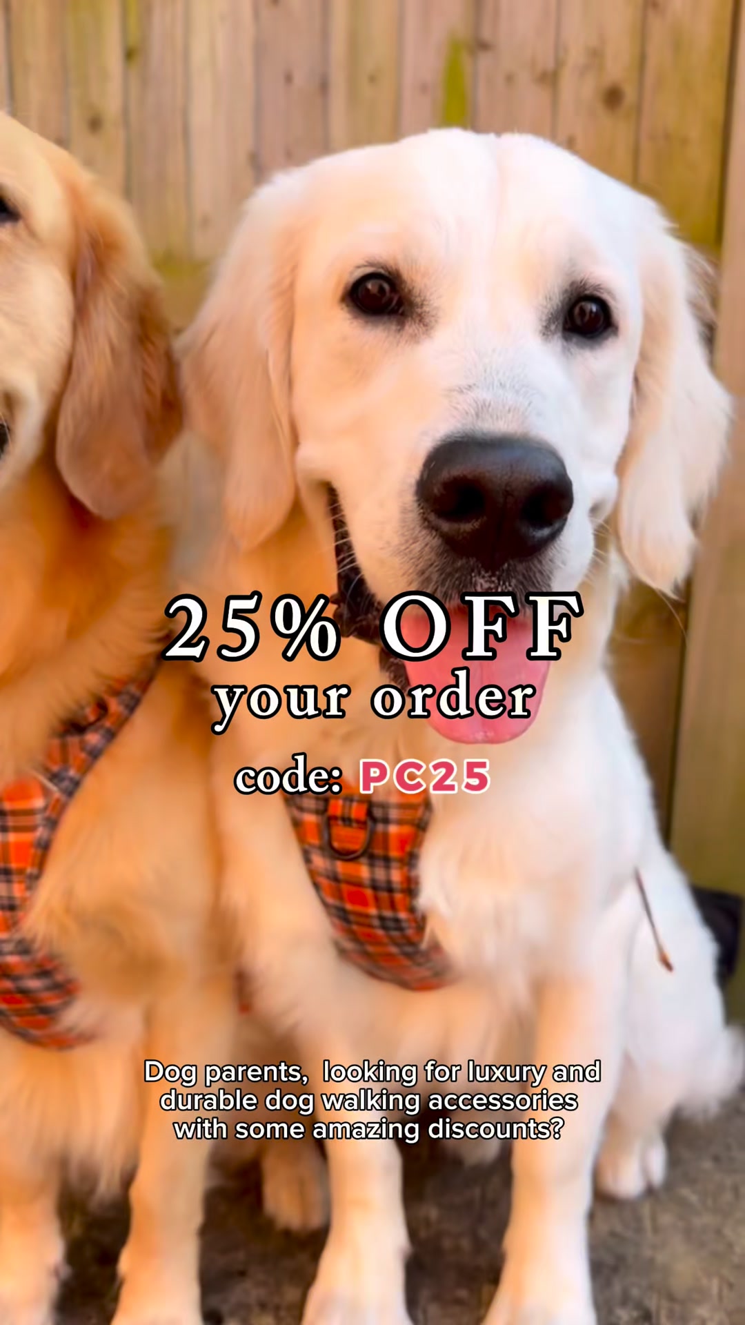 Luxury Dog Accessories at Affordable Prices