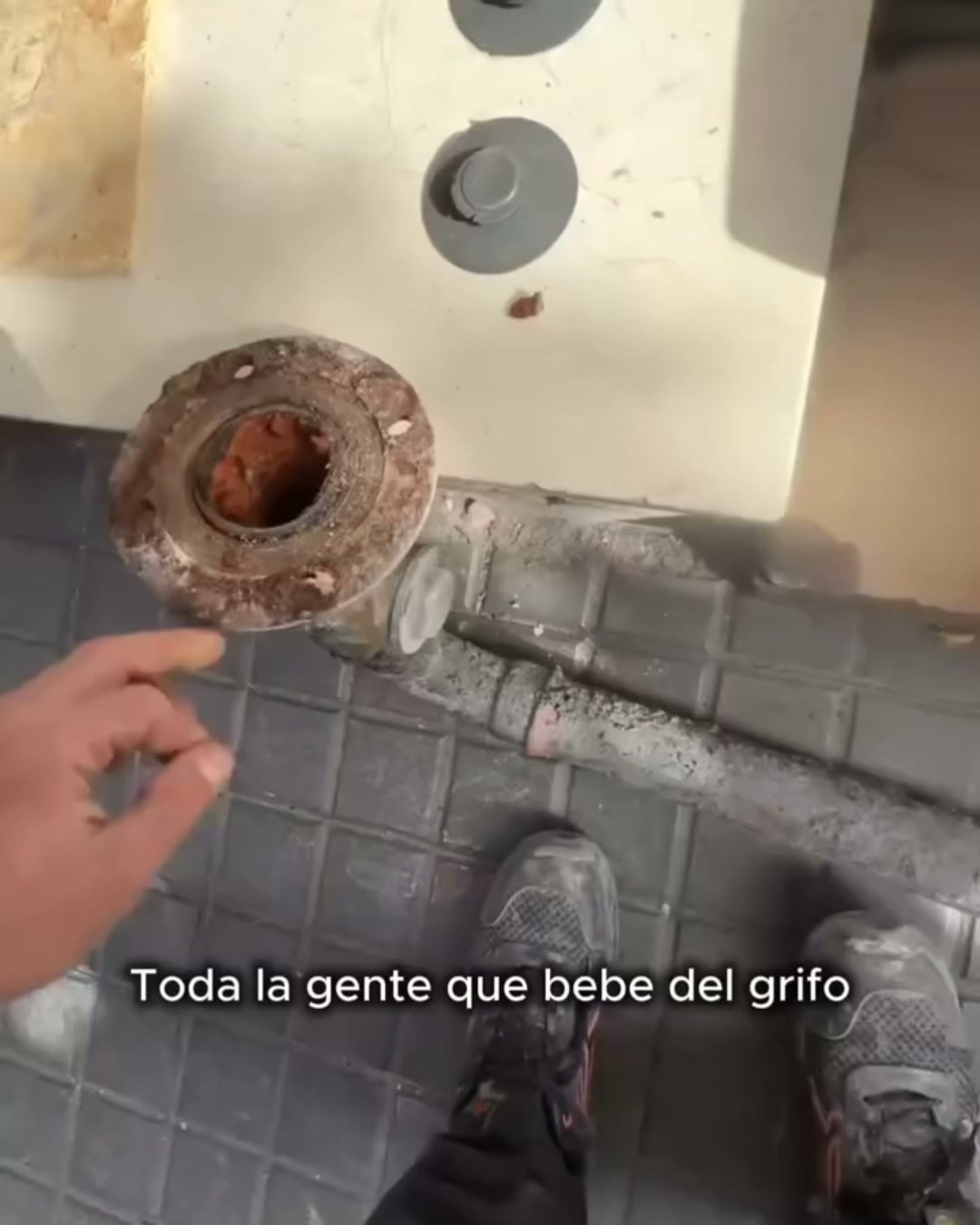 ¡Envío GRATIS! 24-48h