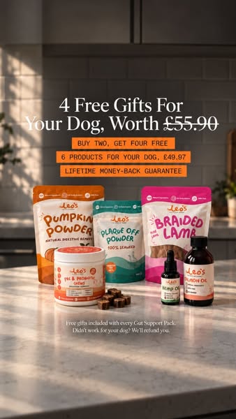 Try RISK FREE. Don't love it? We'll give you a refund.
